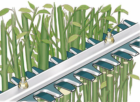 Cortasetos para poda R